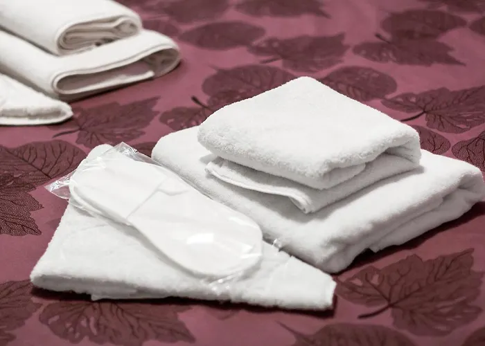 Appartement Rose D'opera Odessa